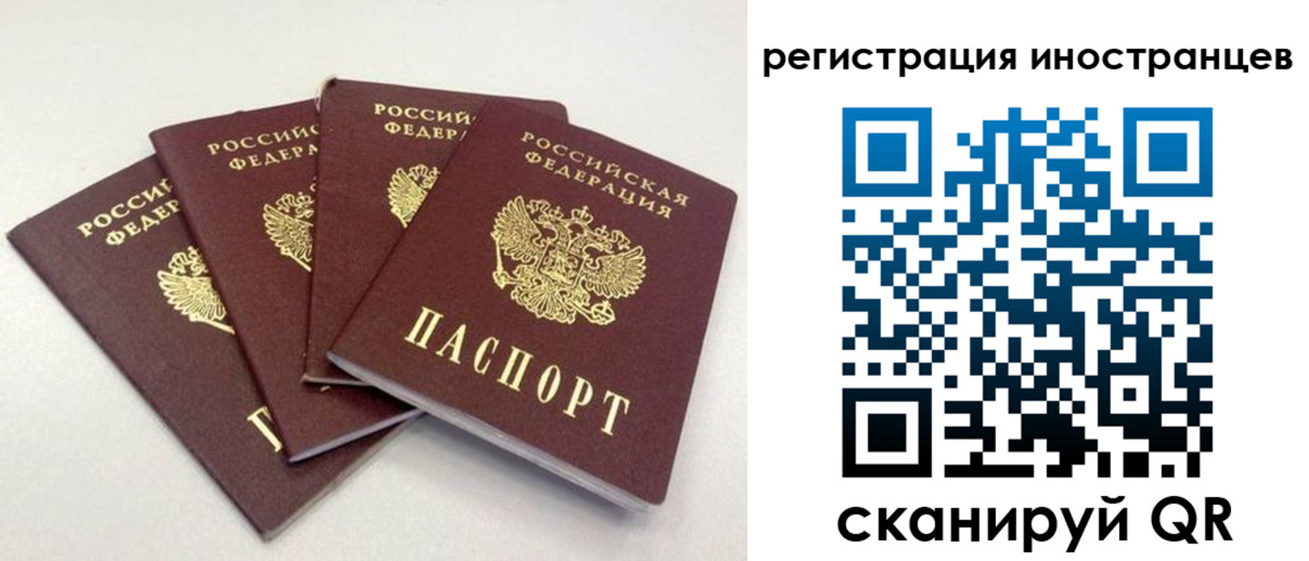 временная регистрация для школы в Жирновске